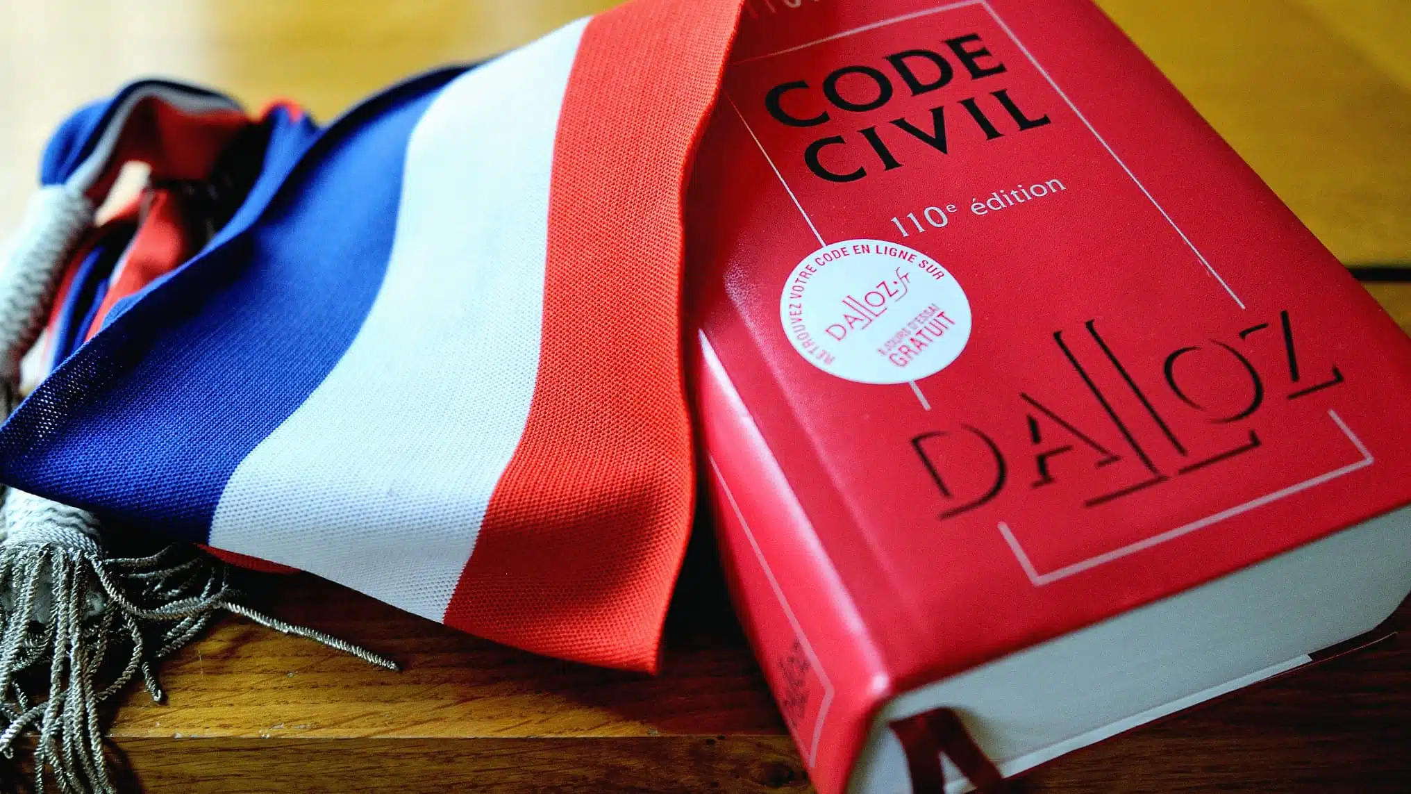 Article 255 du Code civil explication de l'article de loi