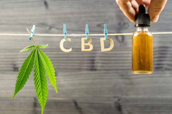 Le cannabidiol : une alternative naturelle aux médicaments